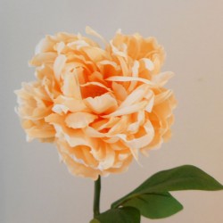 Silk Peony Flowers Peach 64cm - P114 M4