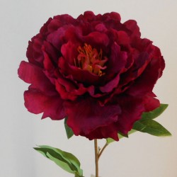 Artificial Peony Wine - X19009 G4