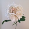 Artificial Peony Flowers Cream 64cm - P227 K2