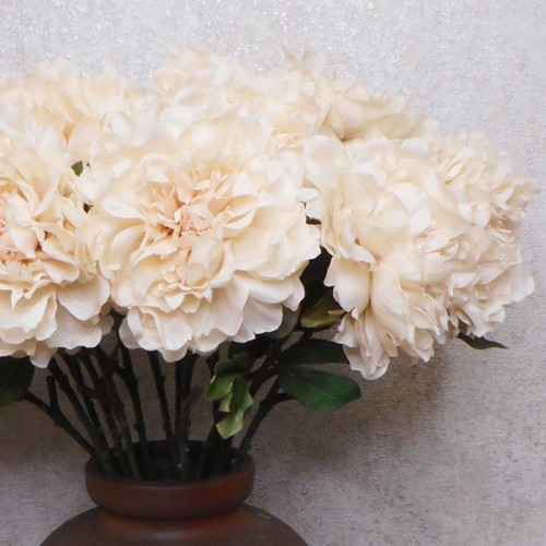 Artificial Peony Flowers Cream 64cm - P227 K2