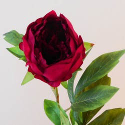 Artificial Peony Flowers Red 80cm - P095 LL3