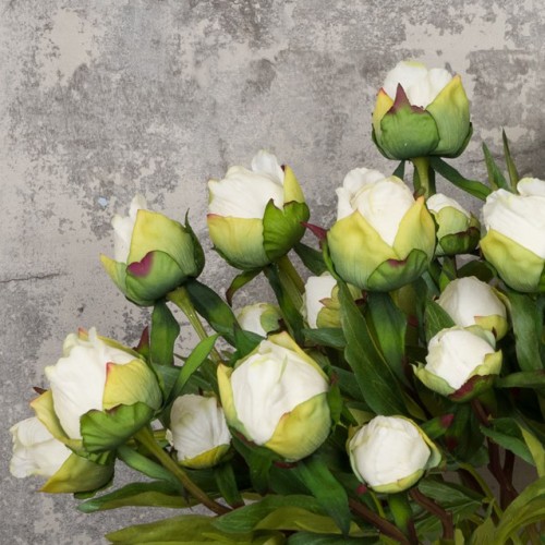 Real Touch Peony Buds Cream 48cm - P037 