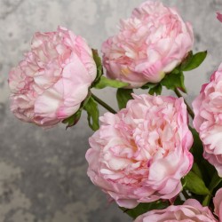 Real Touch Peony Flowers Pink - P061 