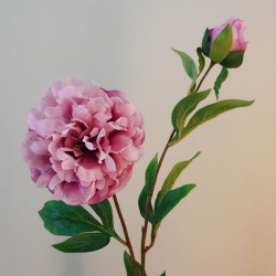 Rydal Artificial Peonies Mauve Pink 86cm - P010 L3