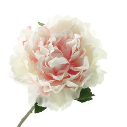 Short Stem Artificial Peony Pale Pink 38cm - P245 K3