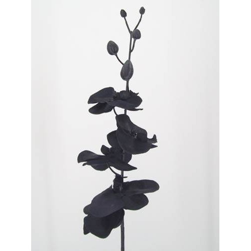 Artificial Phalaenopsis Orchid Black 90cm - J004 J1