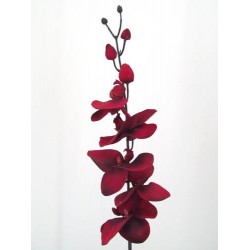 Artificial Phalaenopsis Orchid Blood Red 90cm - J015 K3