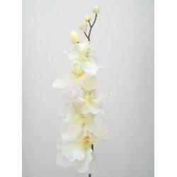 Artificial Phalaenopsis Orchid Cream 90cm - J025 J4