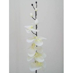 Artificial Phalaenopsis Orchid White and Black 90cm - J010 K4