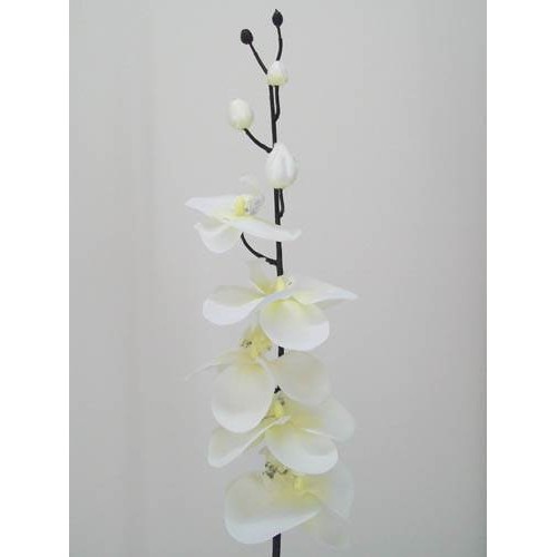 Artificial Phalaenopsis Orchid White and Black 90cm - J010 K4 Artificial Phalaenopsis Orchid White and Black 90cm - J010 K4