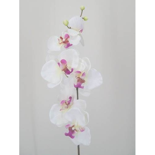 Artificial Phalaenopsis Orchids White and Pink 75cm - J003 K4 Artificial Phalaenopsis Orchids White and Pink 75cm - J003 K4