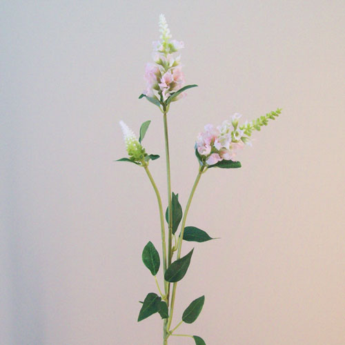 Artificial Physostegia Pale Pink 62cm - P167 