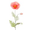 Artificial Icelandic Poppy Coral Pink 70cm - P131 K3