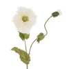 Artificial Icelandic Poppy Blush Cream 69cm - P159 K4