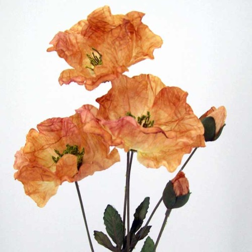 Silk Poppies Amber 70cm - P003 K2