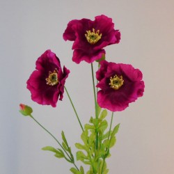 Silk Poppies Dark Pink 70cm - P129 K2