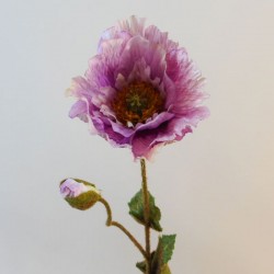 Poppies Mauve 67cm - P263 J2