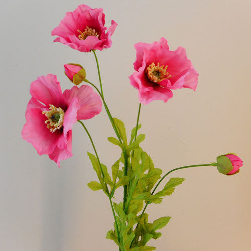 Pink Poppies 70cm - P125 K2