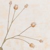 Faux Poppy Seed Heads 69cm - P202 HH1