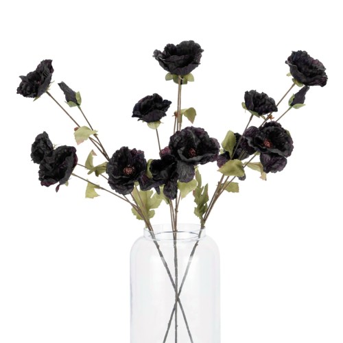 Chocolate Poppy Spray 84cm - P022 K1