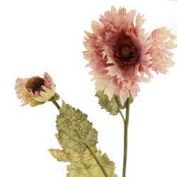 Antique Ruffled Poppy Dusky Pink 75cm | Faux Dried Flowers - P048 K3