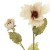 Antique Ruffled Poppy Oyster Cream 75cm | Faux Dried Flowers - P029 K4