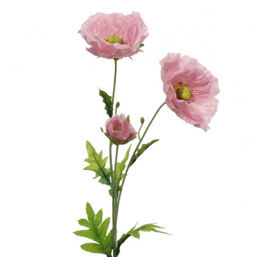 Wild Poppies Pink 70cm - P074 L2