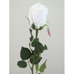 Prize Rose Bud Cream 62cm - R156A P4