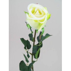 Prize Rose Bud Green 62cm - R156 M4