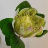 Artificial King Protea Green 65cm - P272 HH4