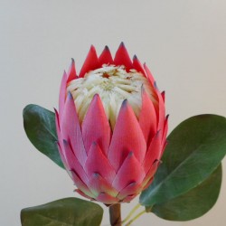 Artificial King Protea Pink 65cm - P085 K3