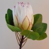 Artificial King Protea White 65cm - P273 HH4