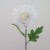 Artificial Leucospermum Protea Cream 70cm - L114 H4
