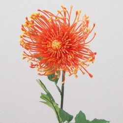 Artificial Leucospermum Protea Orange 70cm - L115 