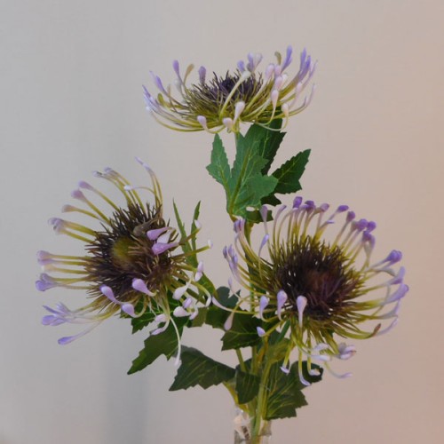 Artificial Leucospermum Protea Spray Purple 65cm - P109 J4