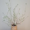 Pussy Willow Spray 110cm - PUS001 P2