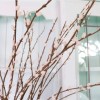 Pussy Willow Spray 93cm - PUS008 COMING SOON Pussy Willow Spray 93cm - PUS008 COMING SOON