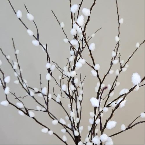 Pussy Willow Spray 80cm - PUS002 J3