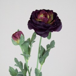 Ranunculus Damson 40cm - R042A N2