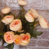 Ranunculus Plant Peach 26cm - R029 FF2 Ranunculus Plant Peach 26cm - R029 FF2