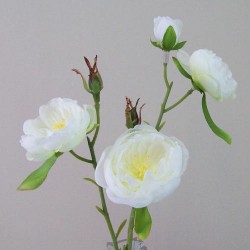 Artificial Ranunculus Flowers Cream Open 43cm - R426 Q3