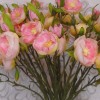 Ranunculus Flowers Pink Open 43cm - R427 P4