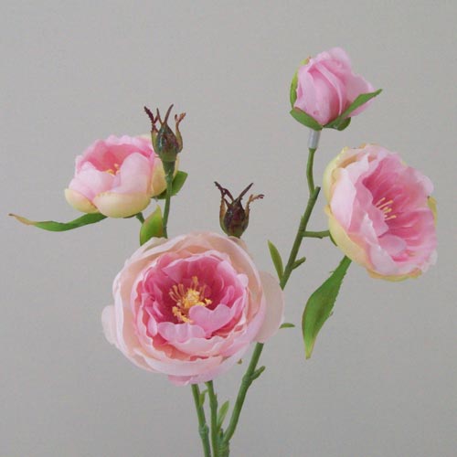 Ranunculus Flowers Pink Open 43cm - R427 P4