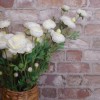 Carnival Ranunculus Cream Artificial Flowers 65cm - R564 P4