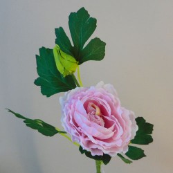 Ranunculus Light Pink 43cm - R760 N2