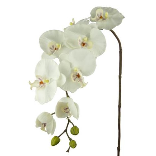 Real Touch Phalaenopsis Orchid Ivory 100cm - O049 I4