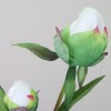 Real Touch Peony Buds Cream 48cm - P037 