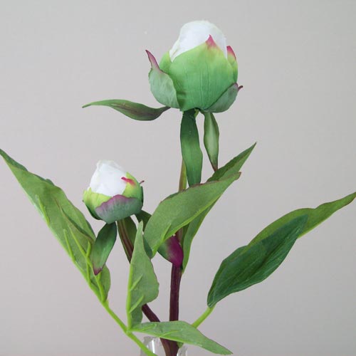 Real Touch Peony Buds Cream 48cm - P037 