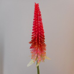 Artificial Red Hot Poker Large (Kniphofia) 70cm  - R603