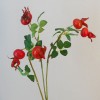 Artificial Rosehips Red 46cm - R397 U4 Artificial Rosehips Red 46cm - R397 U4